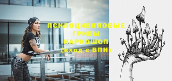 прущий лед Липки