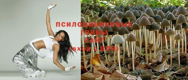 прущий лед Липки