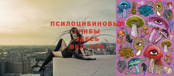 прущий лед Липки