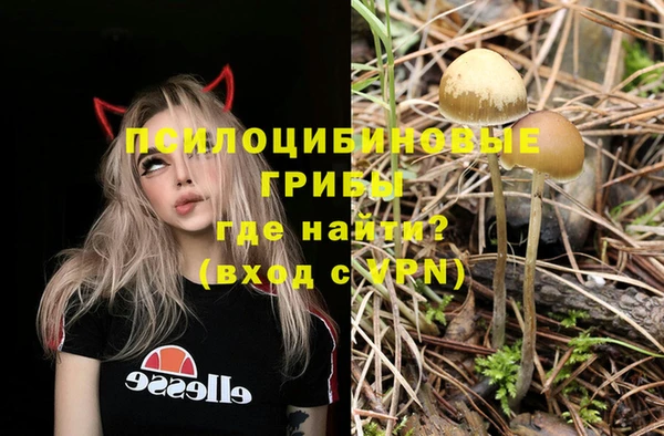 прущий лед Липки