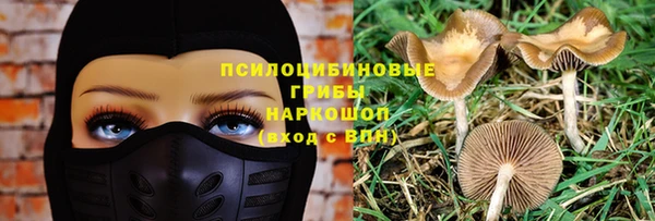 прущий лед Липки