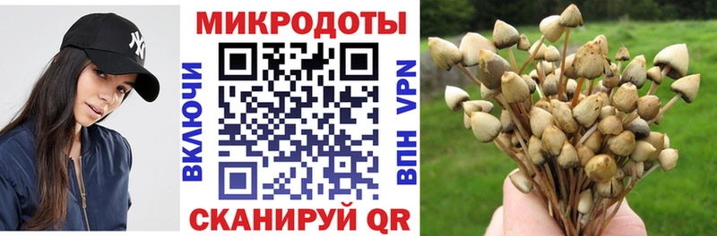 Галлюциногенные грибы мухоморы Холмск