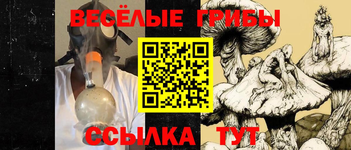 Псилоцибиновые грибы Psilocybine cubensis Холмск